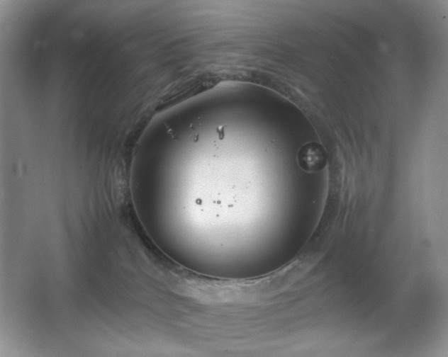 X0000067500040200604071238