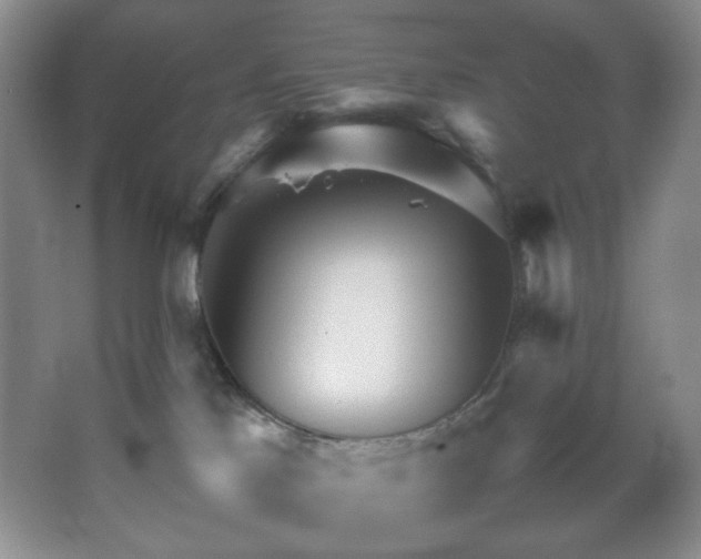 X0000067500041200604071238