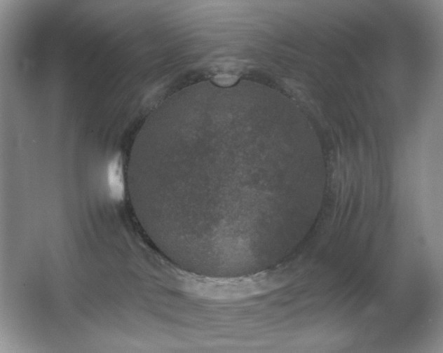 X0000067500042200604071237