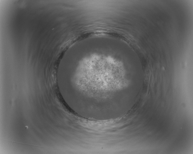 X0000067500043200604071237