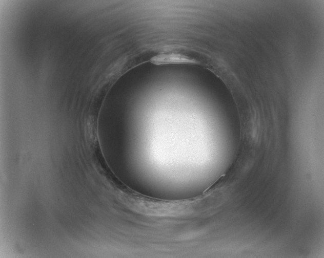 X0000067500044200604071237