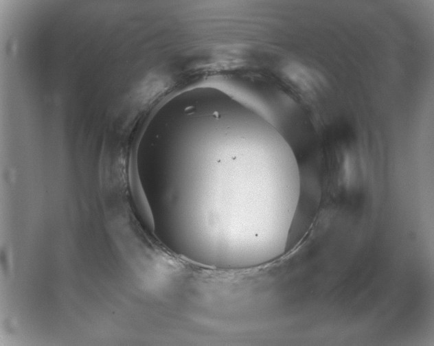 X0000067500045200604071237