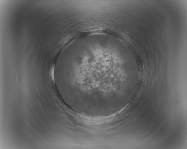 X0000067500047200604071237