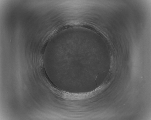 X0000067500048200604071237