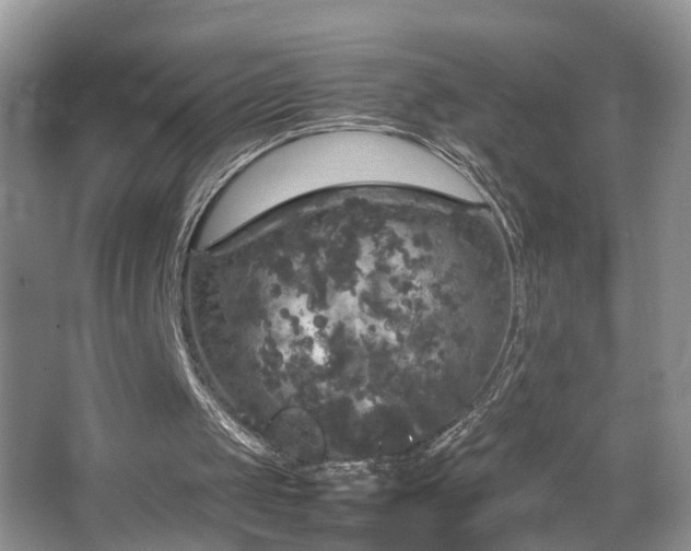 X0000067500049200604071237