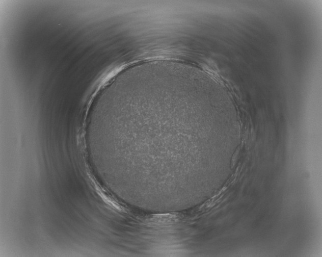 X0000067500050200604071237