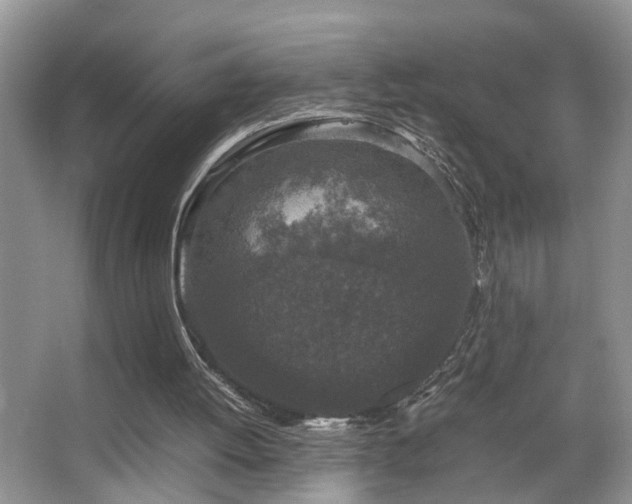 X0000067500052200604071237