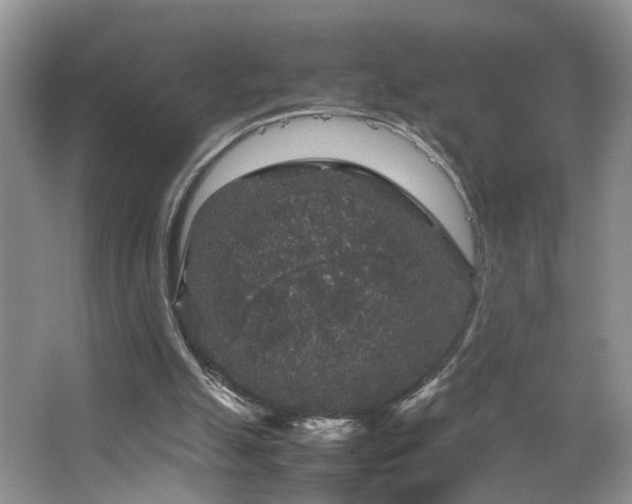 X0000067500055200604071237