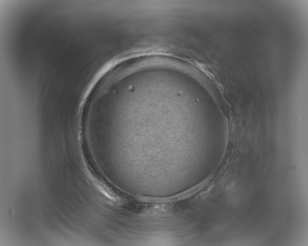 X0000067500056200604071237