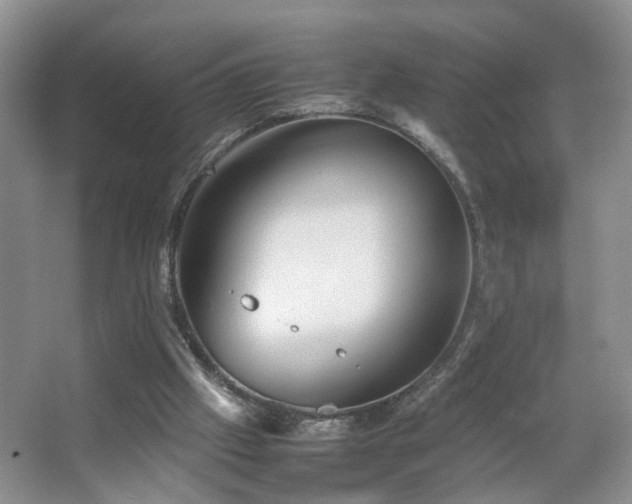 X0000067500057200604071237