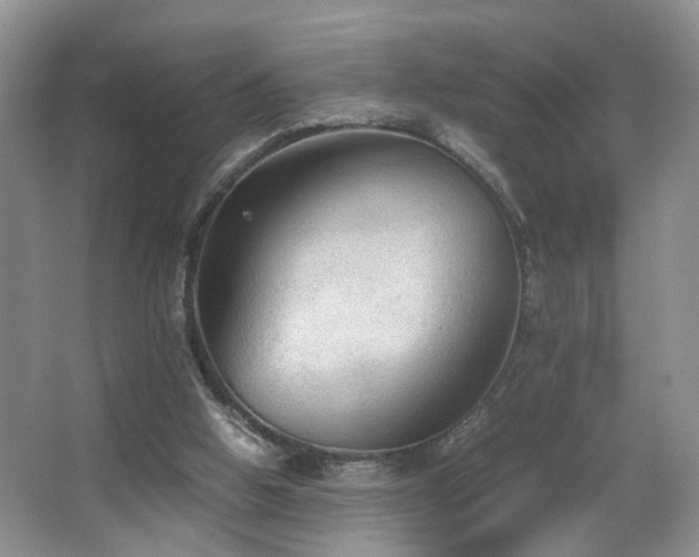 X0000067500058200604071237