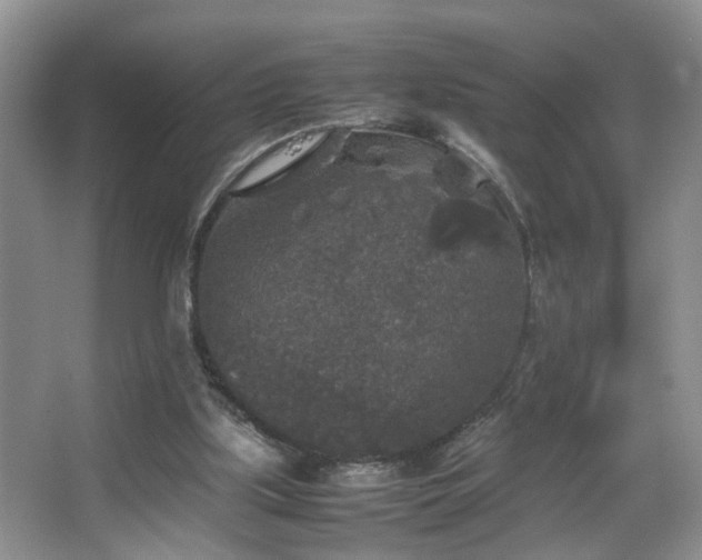 X0000067500059200604071237