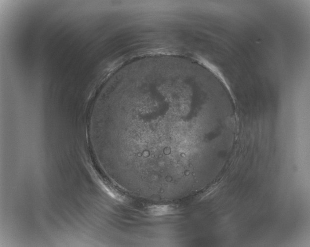 X0000067500061200604071237