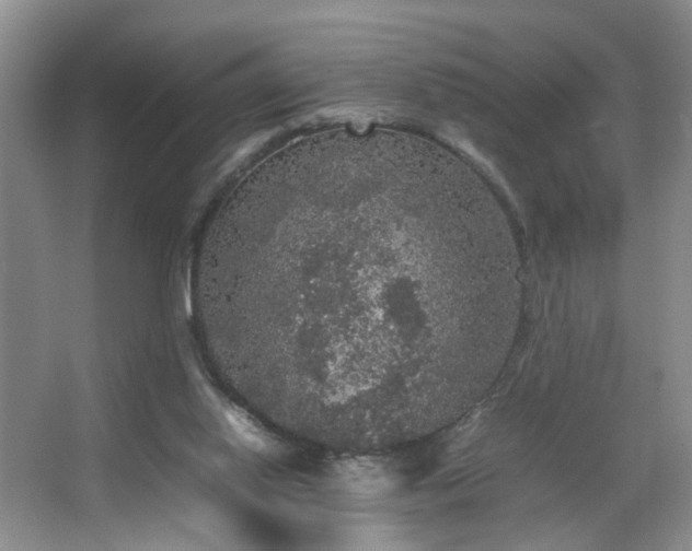 X0000067500062200604071237