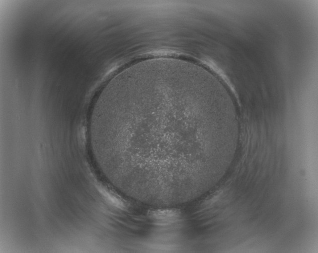 X0000067500063200604071237