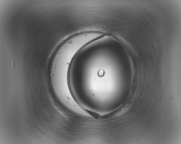 X0000067500064200604071237