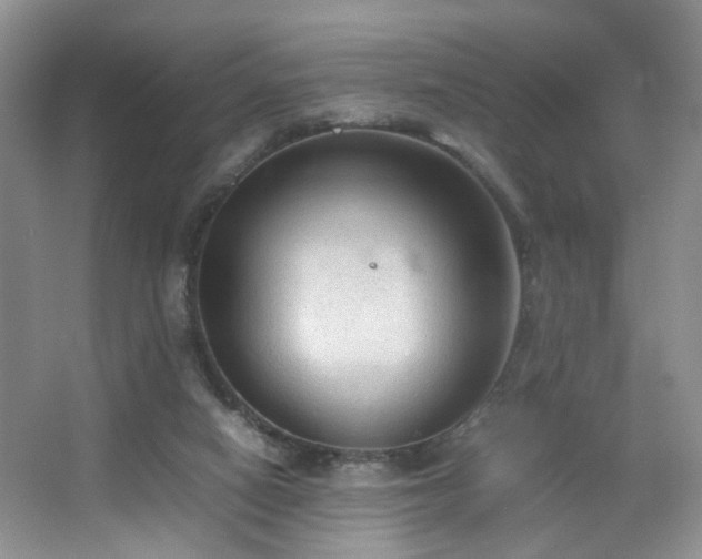 X0000067500066200604071237