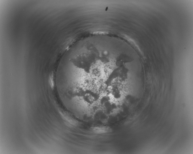 X0000067500069200604071237