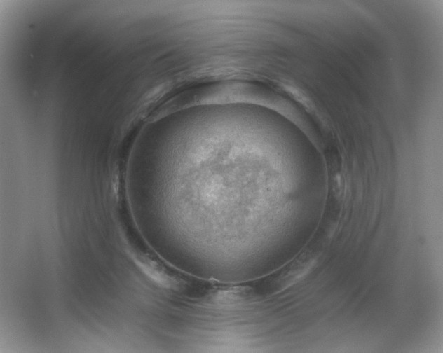 X0000067500072200604071237