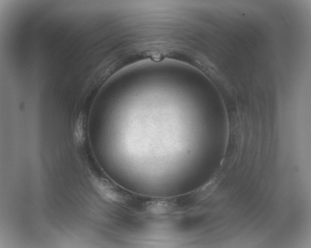 X0000067500074200604071237