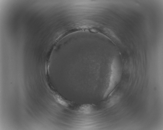 X0000067500076200604071237