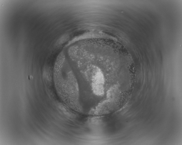 X0000067500078200604071237