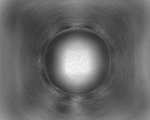 X0000067500079200604071237