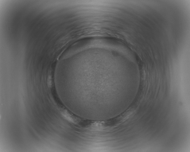 X0000067500080200604071237