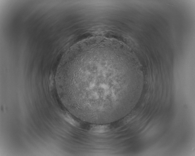 X0000067500081200604071237