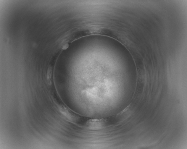 X0000067500082200604071237