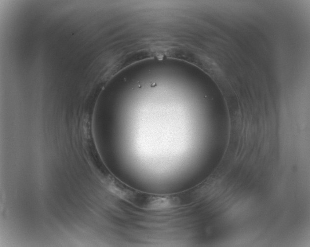 X0000067500083200604071237