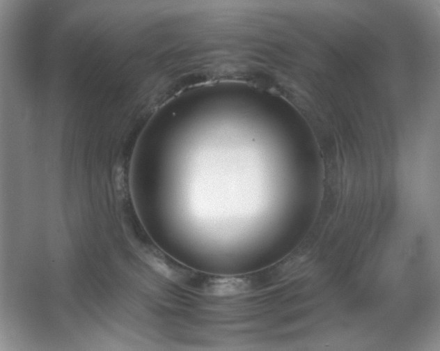 X0000067500087200604071237