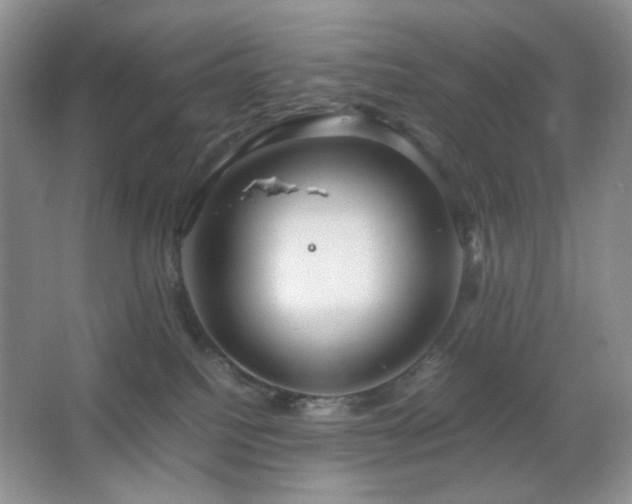 X0000067500088200604071237