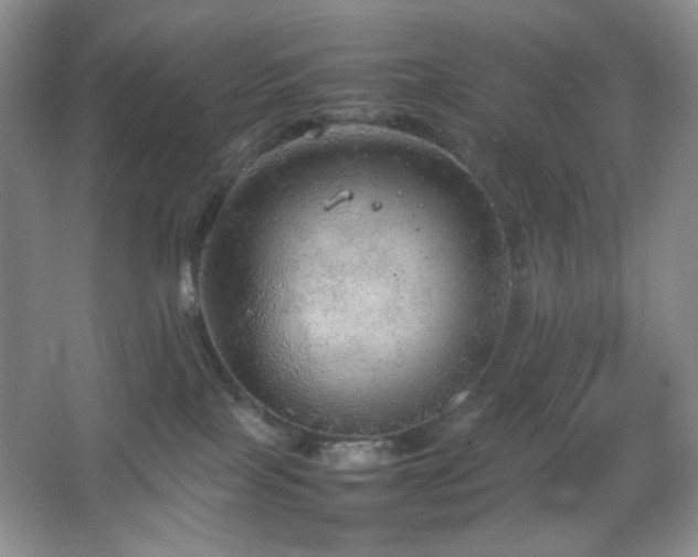 X0000067500089200604071237