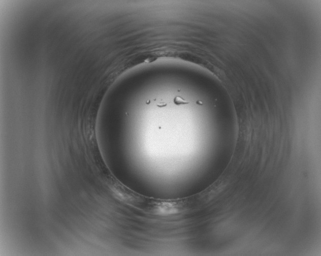 X0000067500091200604071237