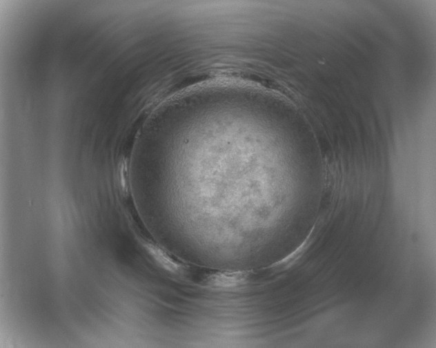 X0000067500094200604071237