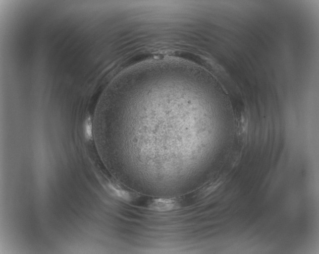 X0000067500095200604071237