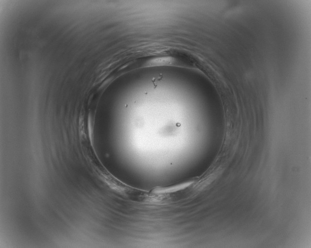 X0000067500096200604071237