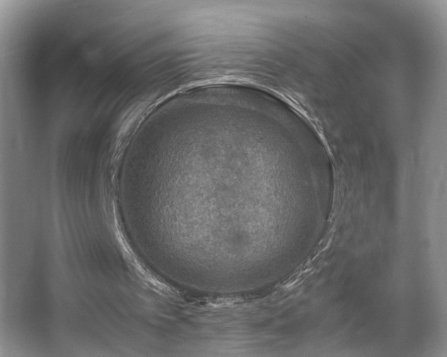 X0000067500097200604071237