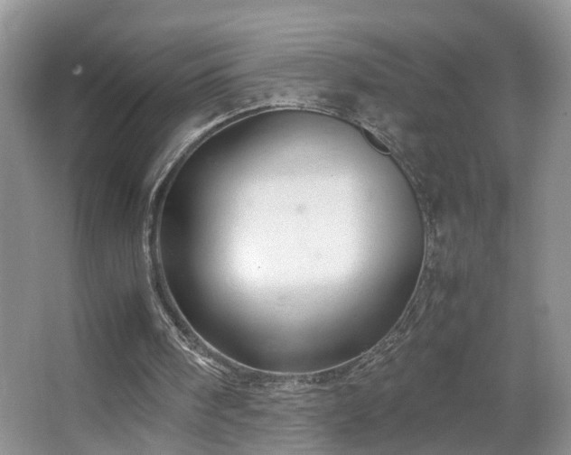 X0000067500098200604071237