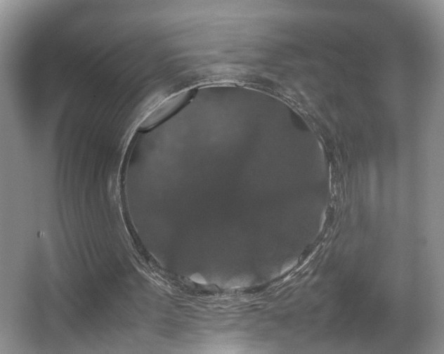 X0000067500099200604071237