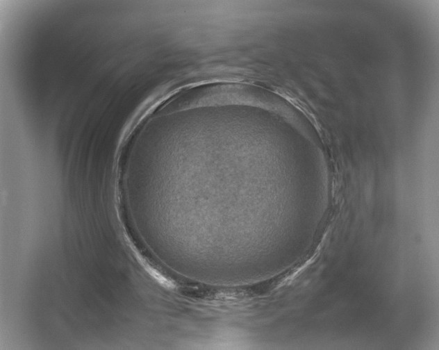 X0000067500101200604071236