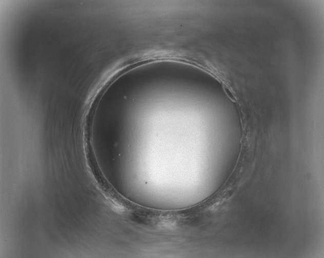 X0000067500103200604071236