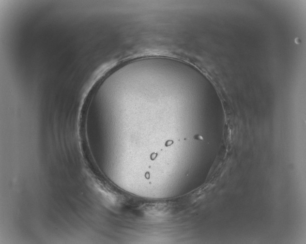 X0000067500104200604071236