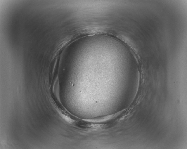 X0000067500105200604071236