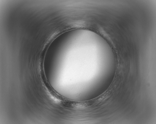 X0000067500106200604071236