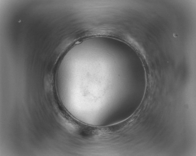 X0000067500107200604071236