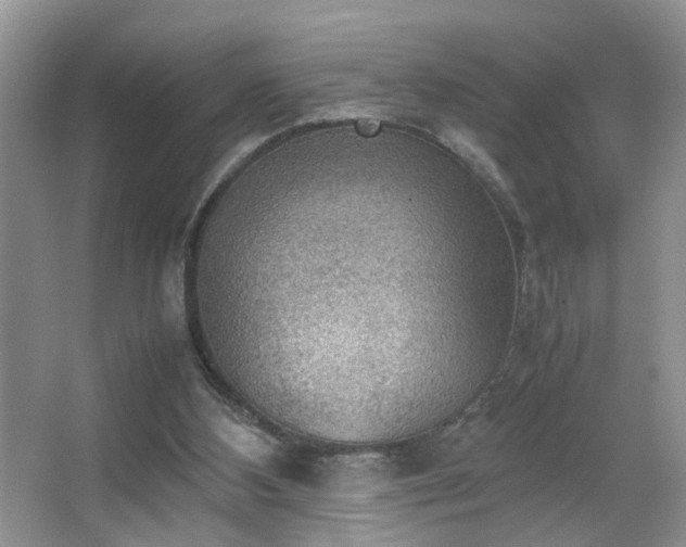 X0000067500108200604071236