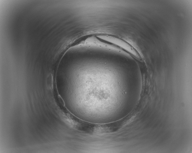 X0000067500109200604071236