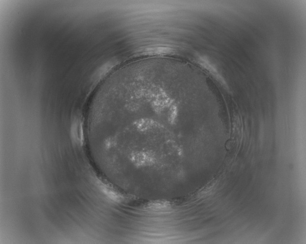 X0000067500110200604071236